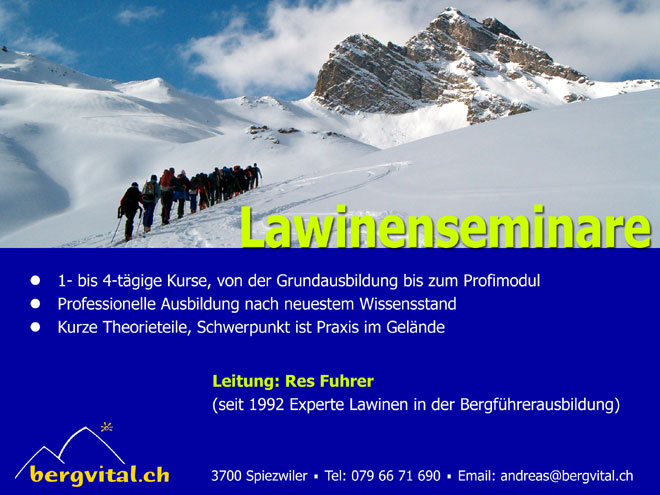 Flyer Lawinenseminar