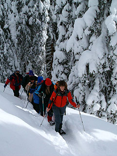 Die schönsten Winterlandschaften entdecken. 