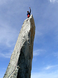 Salbit Gipfelnadel
